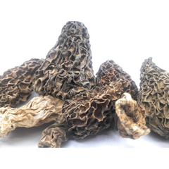 Gucchi Mushroom True Morel Super Jumbo Kashmir Varity